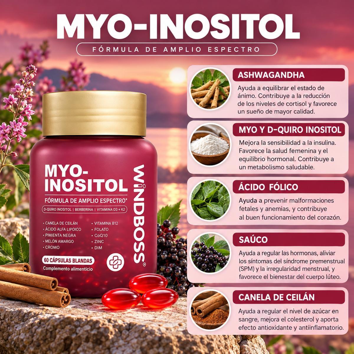 WindBoss Combo Multivitamínico